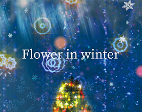 [전시] Flower in winter