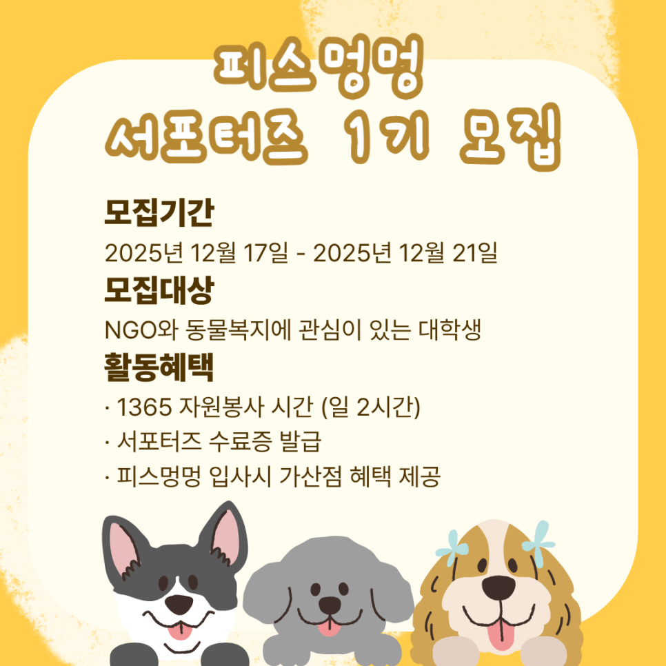 피스멍멍 서포터즈 1기 모집