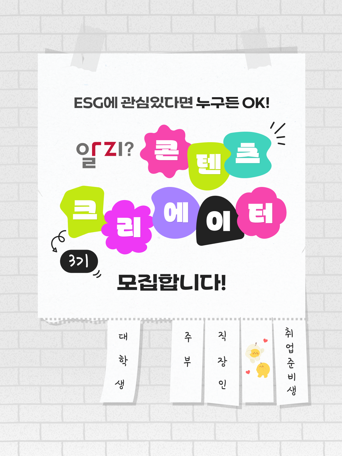 알지? 콘텐츠 크리에이터 3기 모집