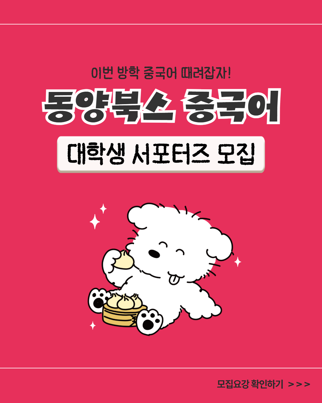동양북스 대학생 중국어 서포터즈 모집