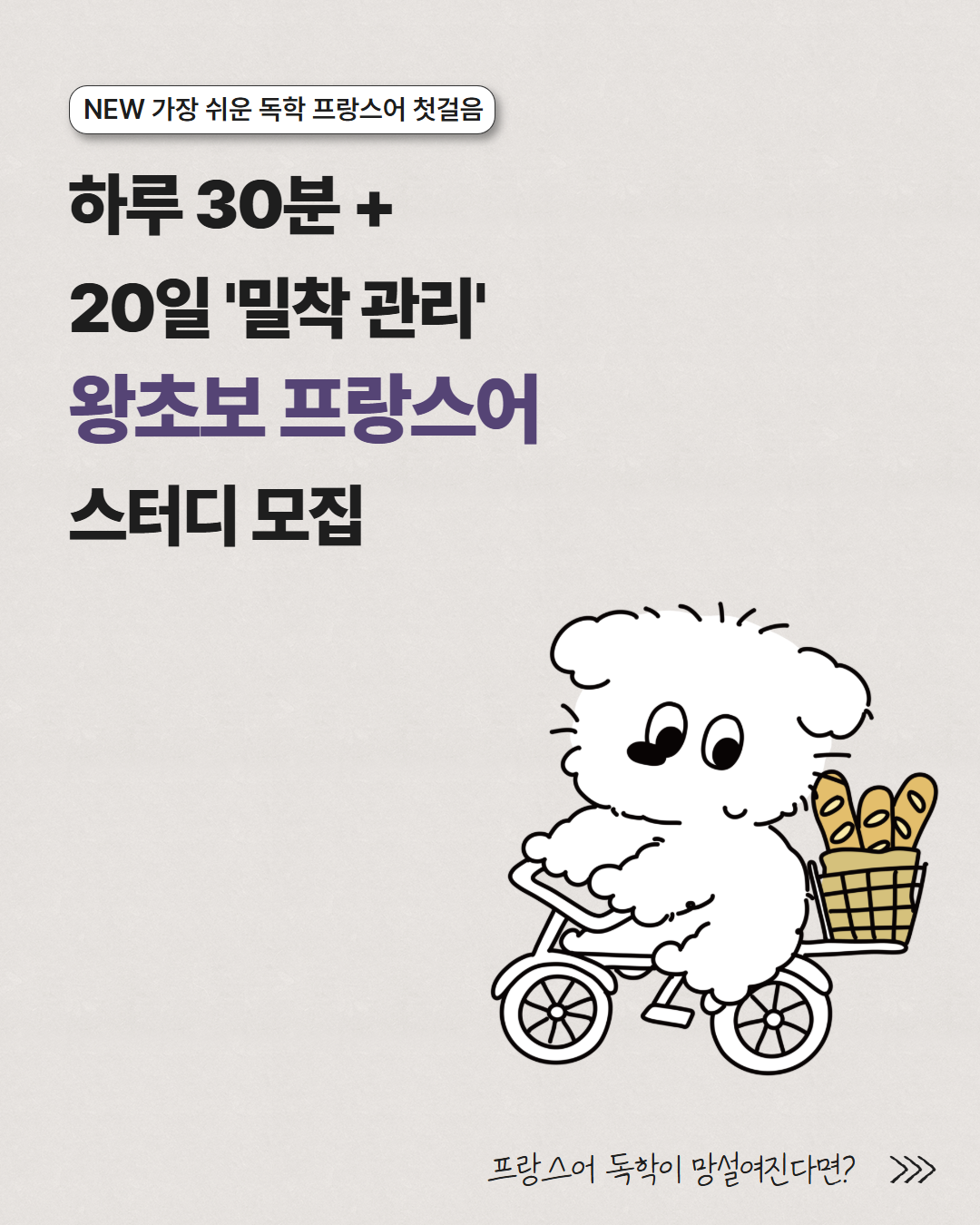 동양북스  4주 완성 프랑스어 왕초보 온라인 스터디 모집