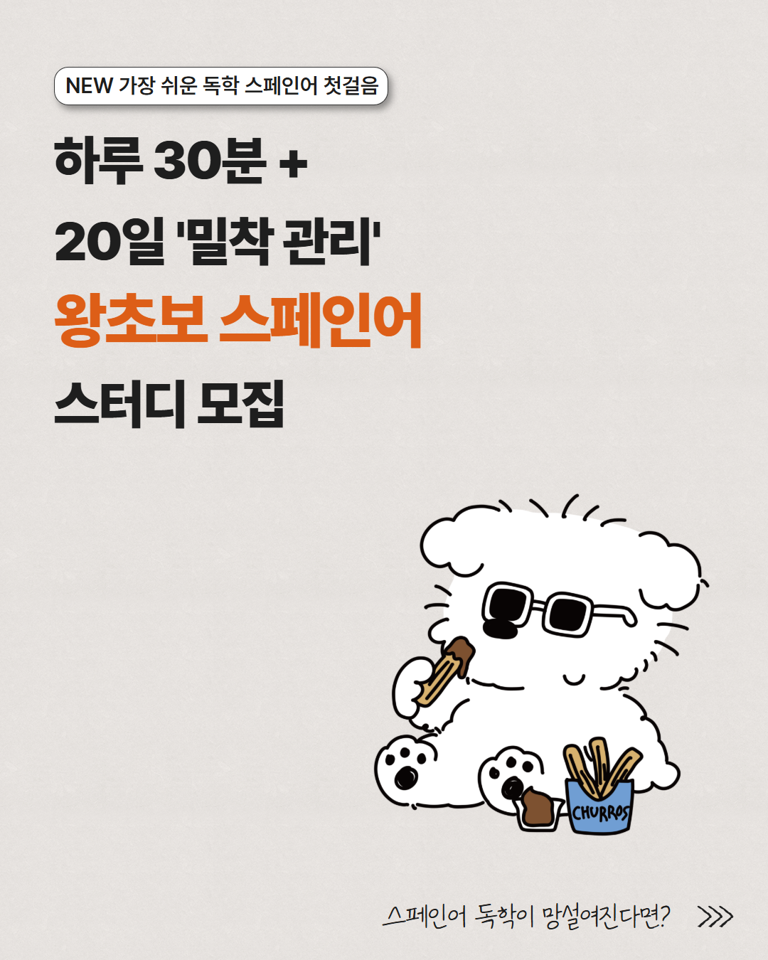 동양북스  20일 완성 스페인어 왕초보 온라인 스터디 모집