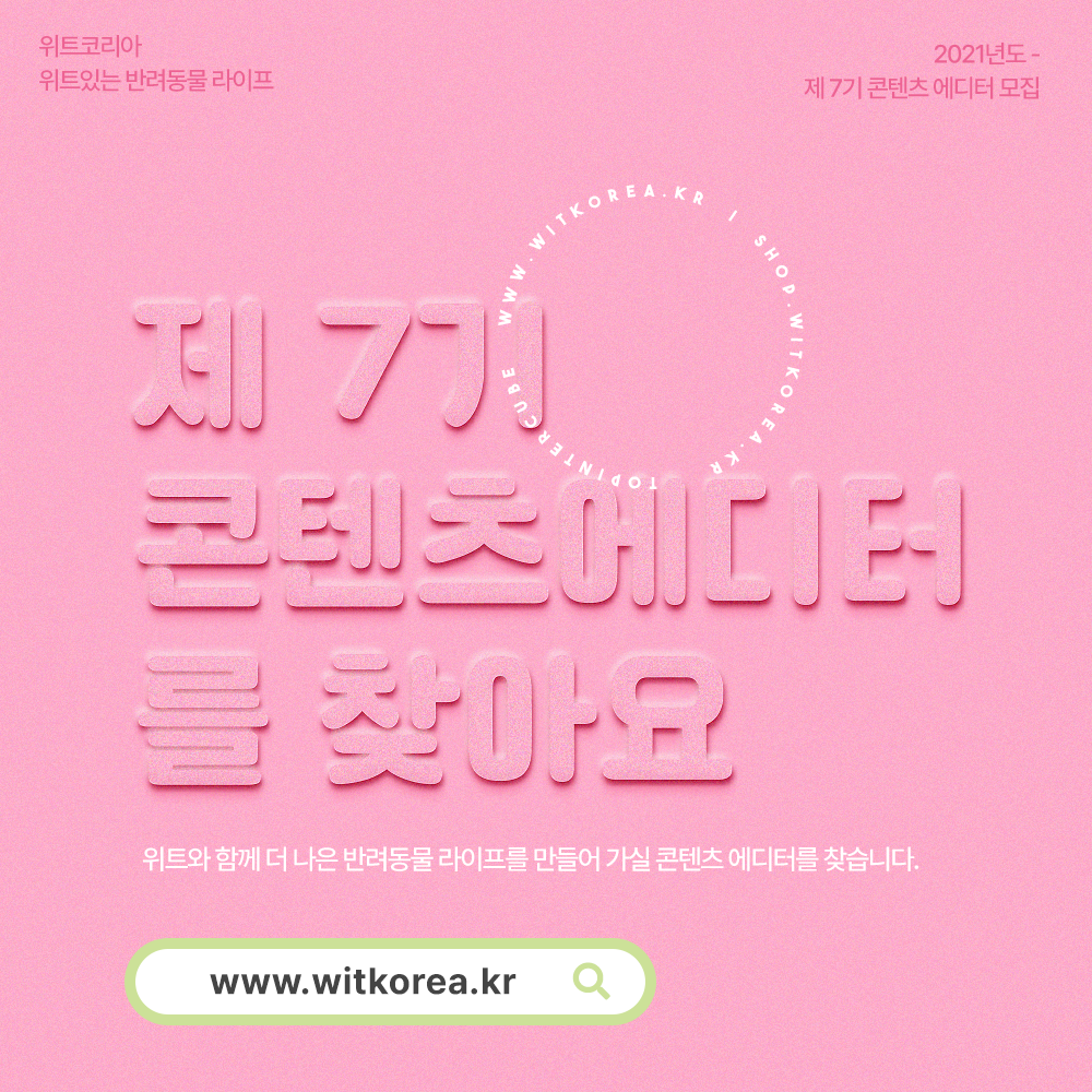위트코리아 반려동물 에디터 7기 모집