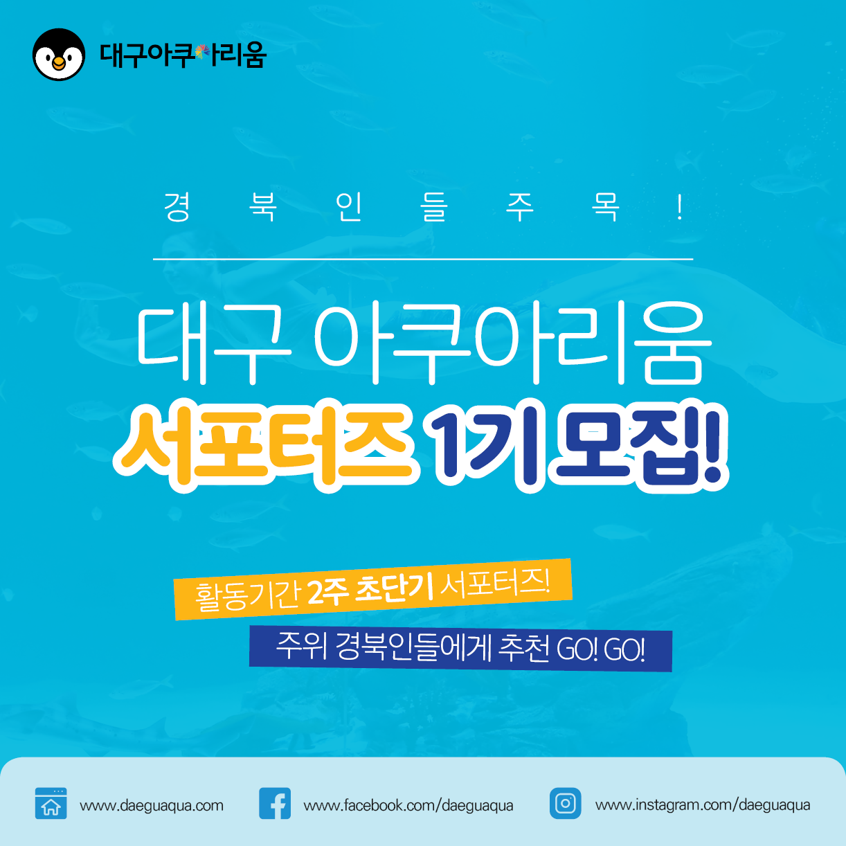 대구 아쿠아리움 서포터즈 1기 모집
