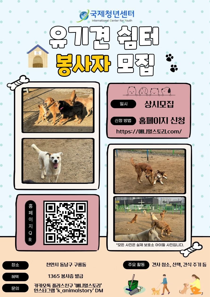 1365 천안 유기견 쉼터 봉사자 모집