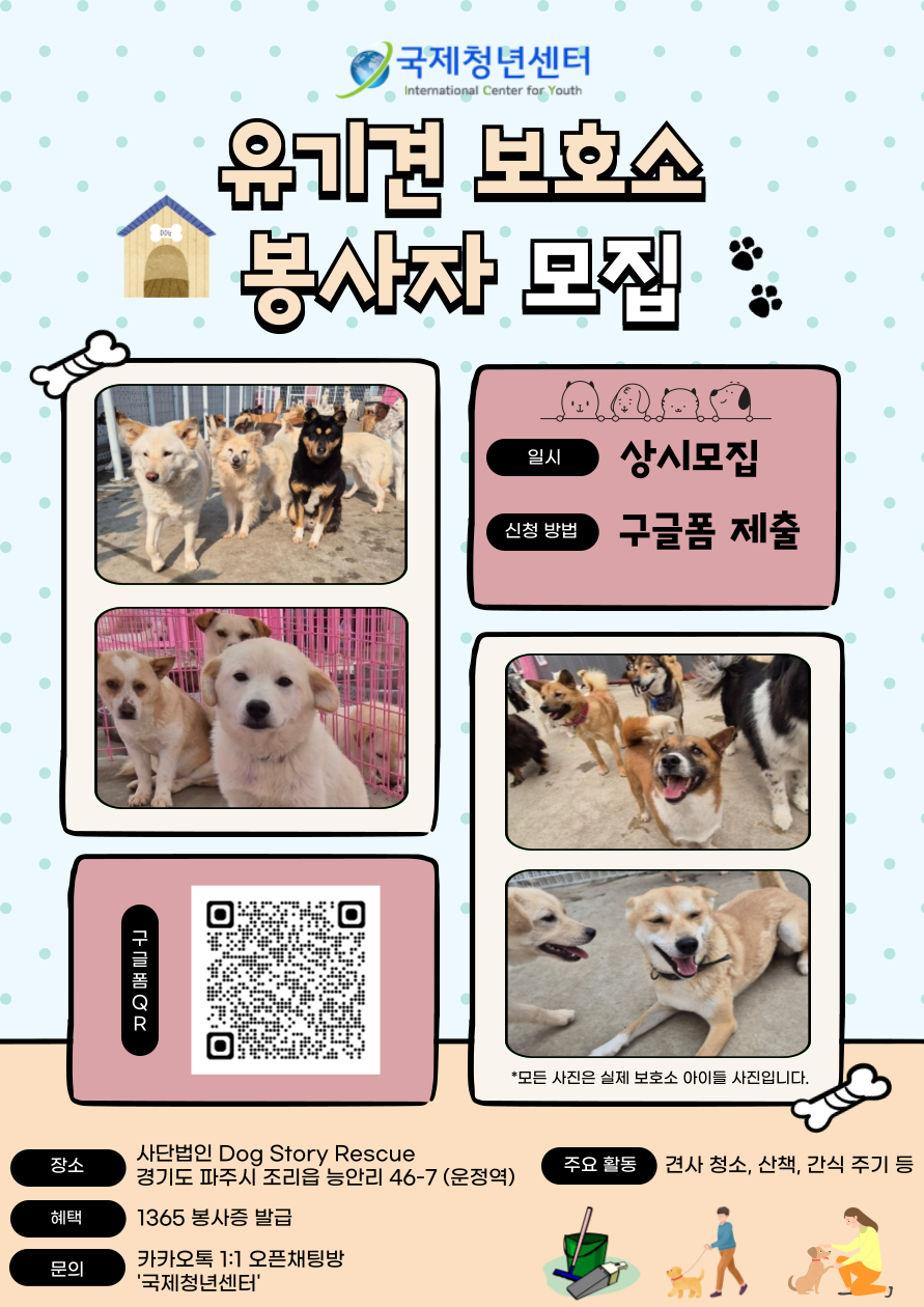 국제청년센터 유기견 보호소 봉사자 모집