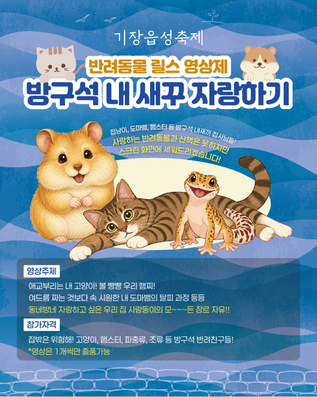 방구석 반려동물 릴스 영상제