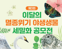 제3회 이달의 멸종위기 야생생물 세밀화 공모전